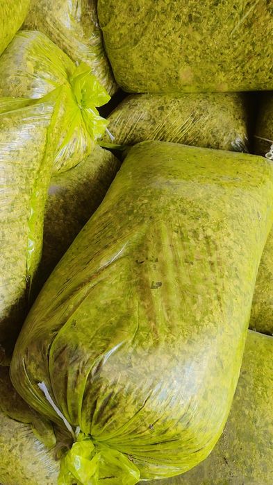 Makka senaj sotiladi