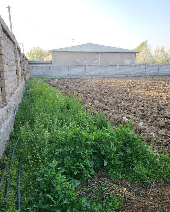 Yer sotiladi 9 sotix