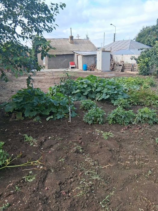 Vand casa batraneasca cu teren, Filesti, Galati