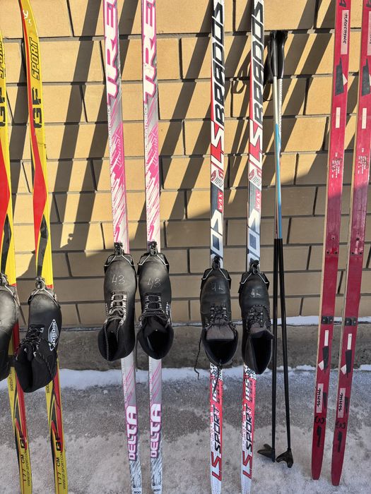 Лыжи разные продам