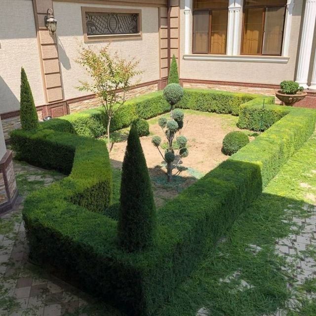 Archa kesish gazon lanshaf qilish xizmati bor