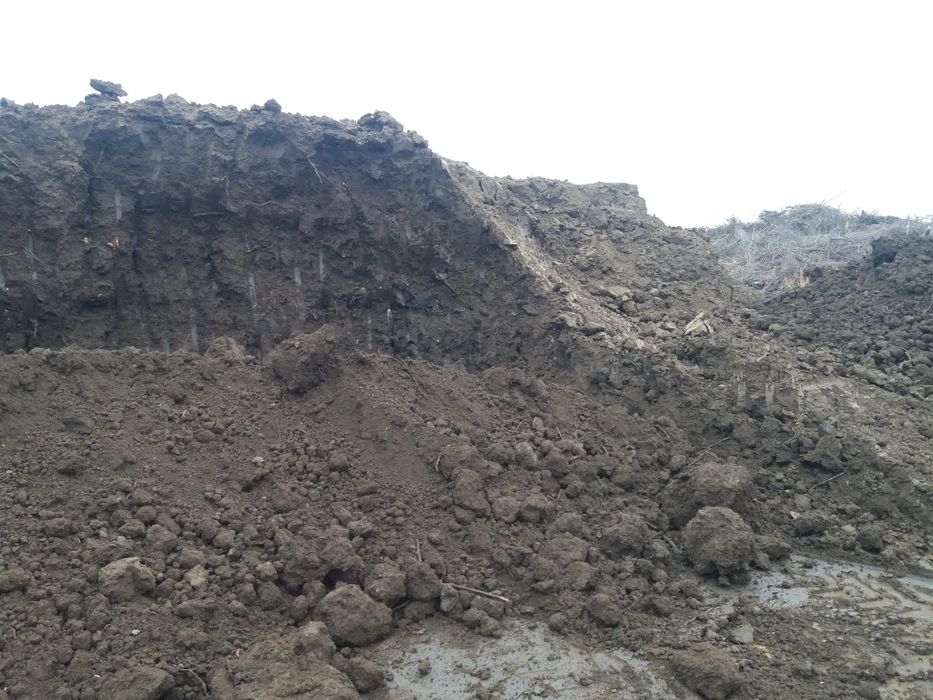 Pământ negru pt.umplutura si grădini  o746.93o.13o