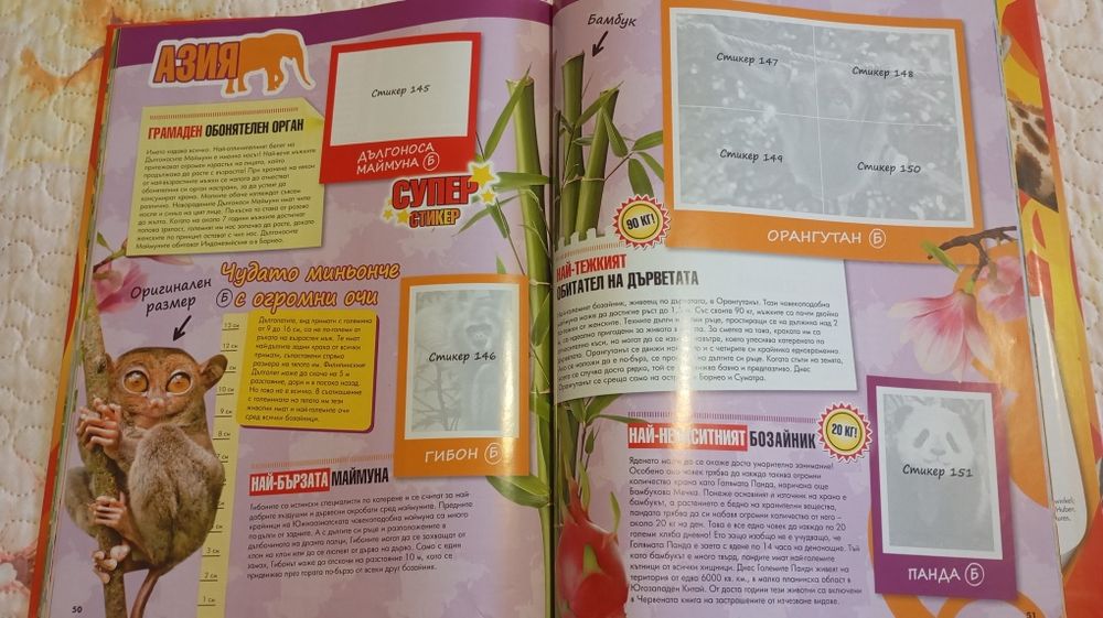 Маша и мечока и стикер-албум с животни