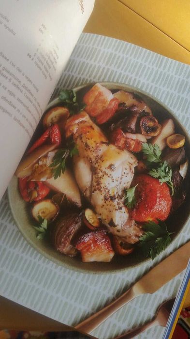 Книгата на шеф Манчев