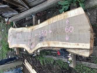 Орех - голями талпи от орех и голями шайби от корен на орех