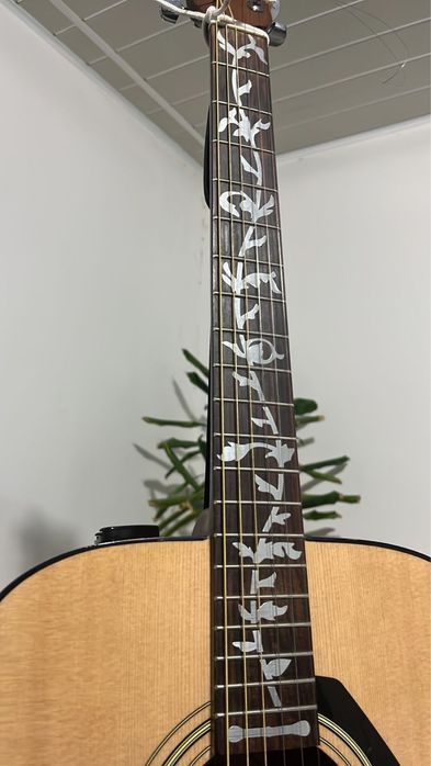 Транс акустика гитара