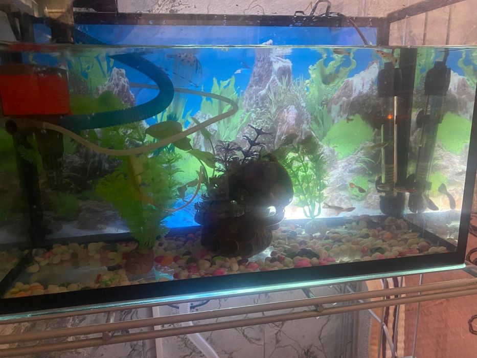 Продам аквариум с рыбками