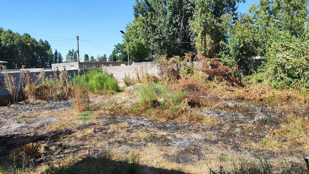 Участок 6,5 соток