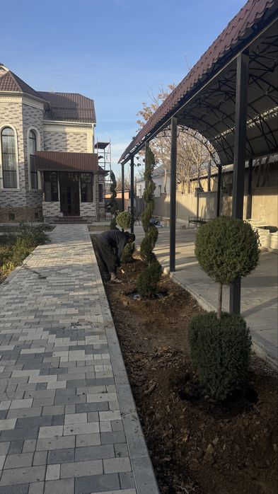 Автополив газон с гарнтий