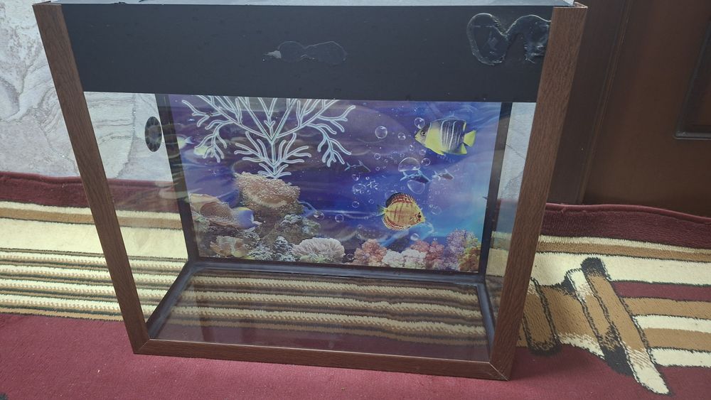 Аквариум сотаман
