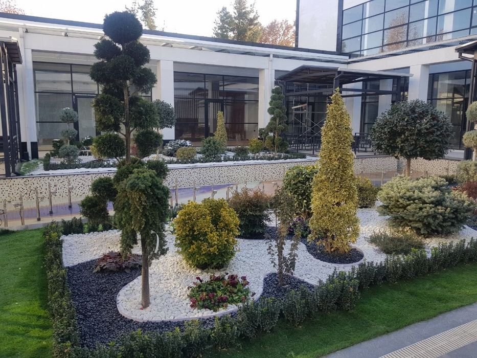 Садовник обрезка деревьев и уход сада и.тд Богбон Ландшафтный дизайн.