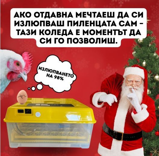 Инкубатор двойно захранване 220+12v за 56 яйца