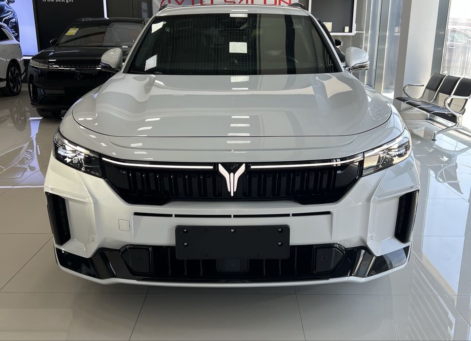 VOYAH FREE appolo tech 318 full