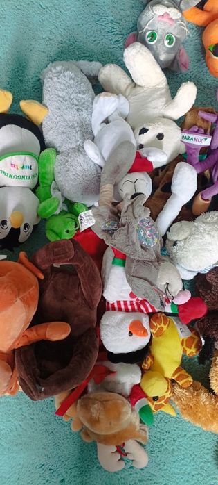 Plusuri cu și fără baterii