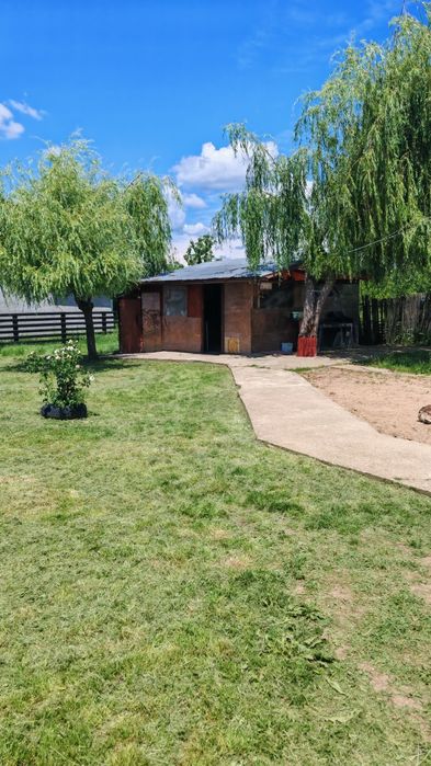 Vânzare casa Moșoaia Arges