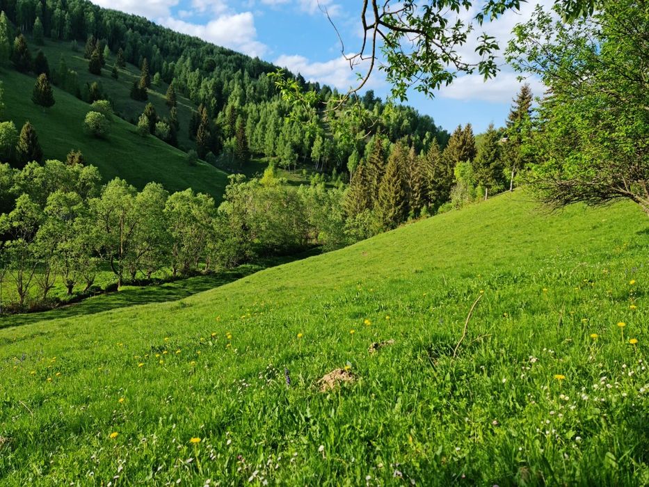 Teren 2,9 HA + RÂU + 3 Case Tradiționale | Ideal Turism | Moieciu Bran