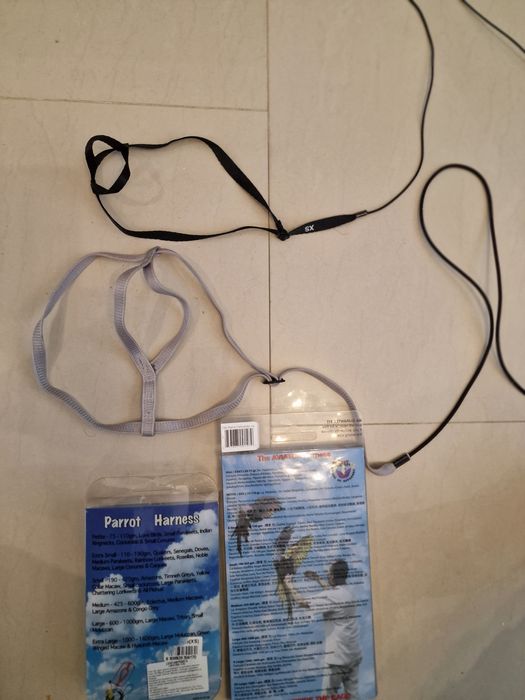 Ham papagal Ara Jako Aviator