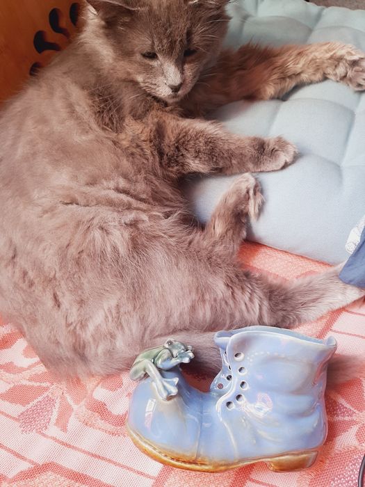 Горшок для цветов