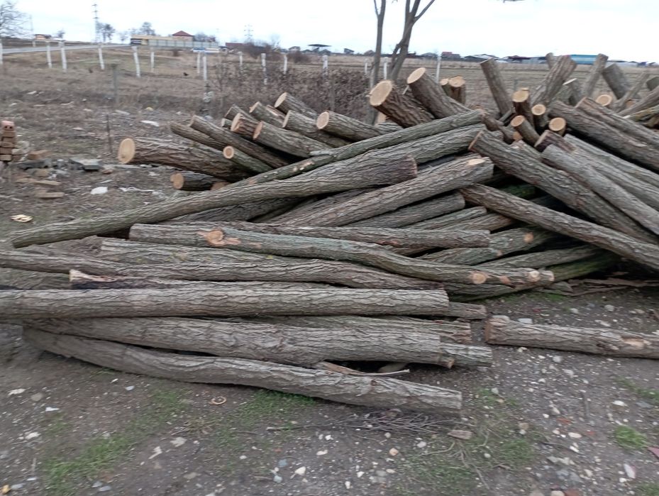 Stâlpi de gard cu h 2,20 și diametrul  10-14
