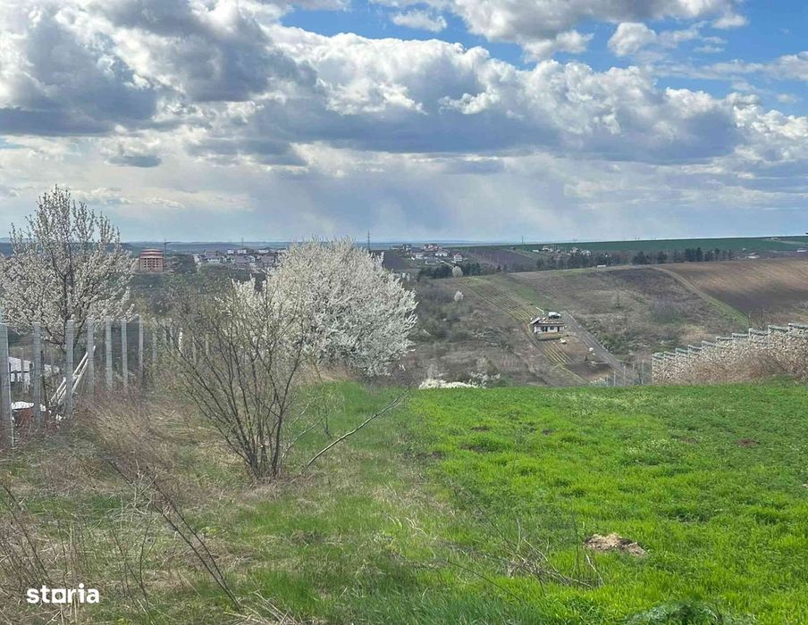Teren intravilan 3271 mp Valea Lupului, Iași la asfalt str 1 Decembrie