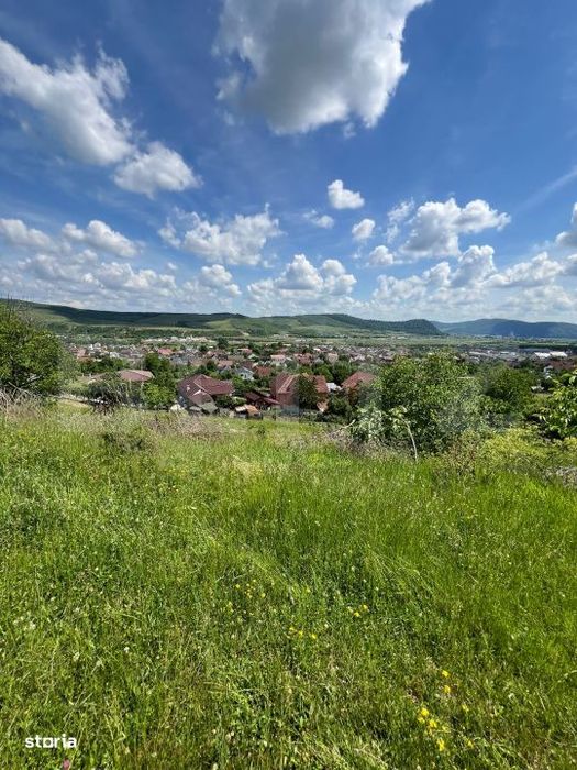 Teren Extravilan de vanzare 3000 m - zona Viisoara