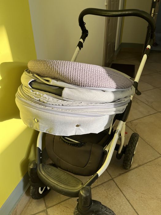 Коляска Adamex Alex