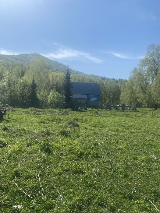 Продам крестьянское хозяйство!