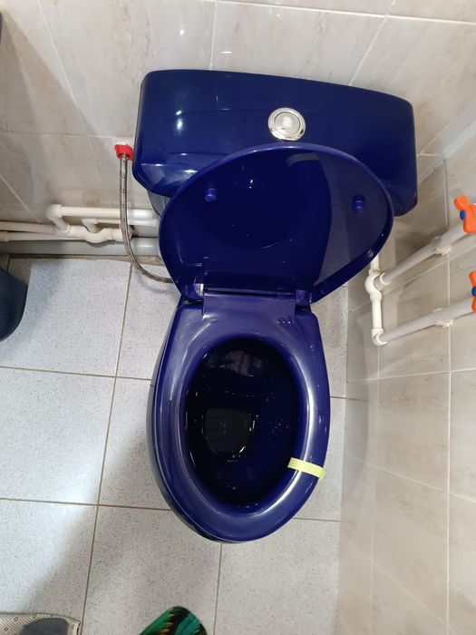 Продам унитаз и тюльпан