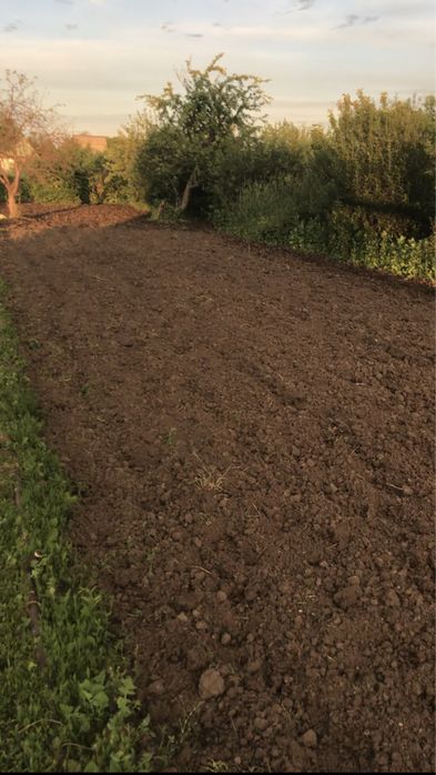 Дача в обществе «Черемушки»