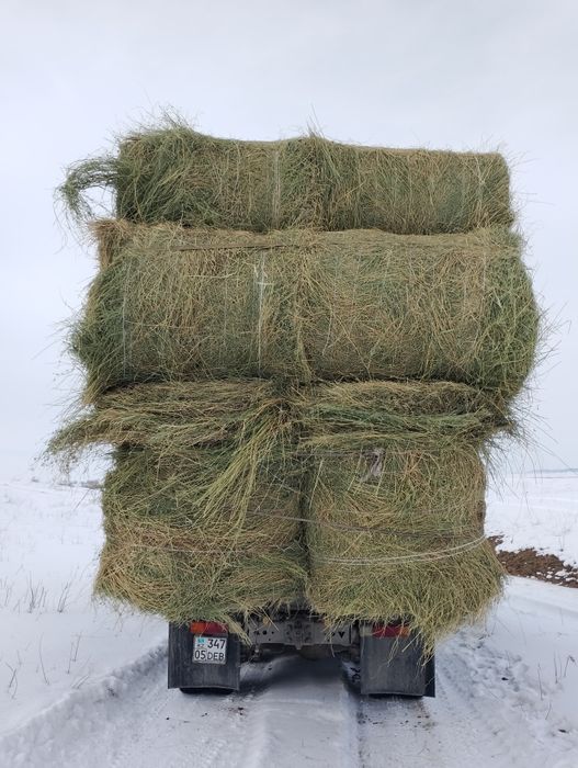 сено люцерна жоношка урлон