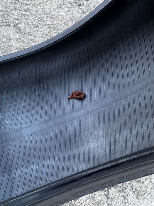 Гуми Bridgestone Turanza