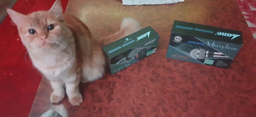 Профессиональные микрофоны