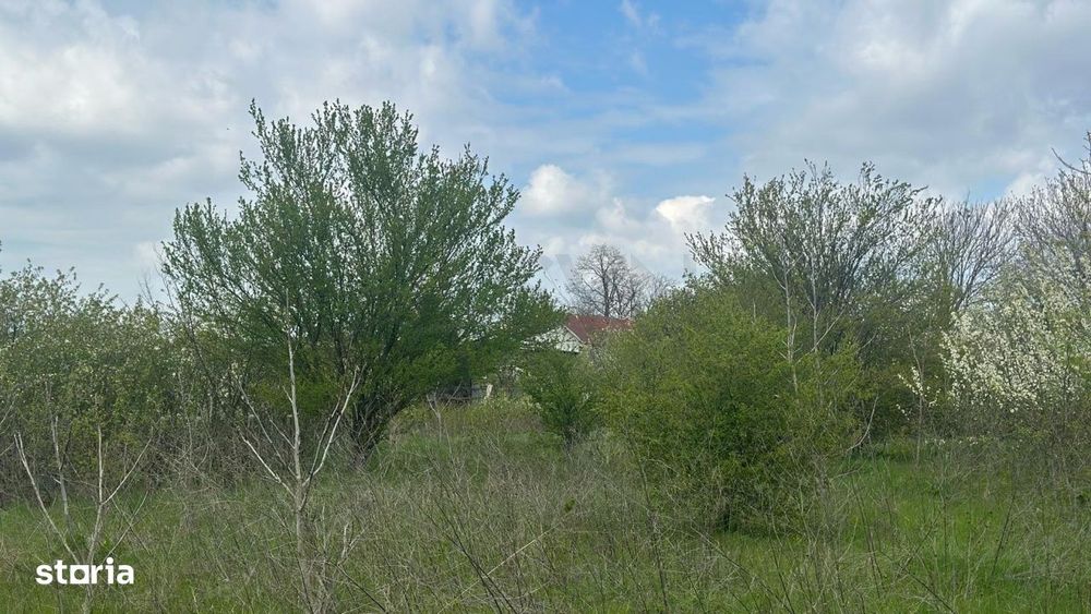 Teren de vanzare Popesti Leordeni