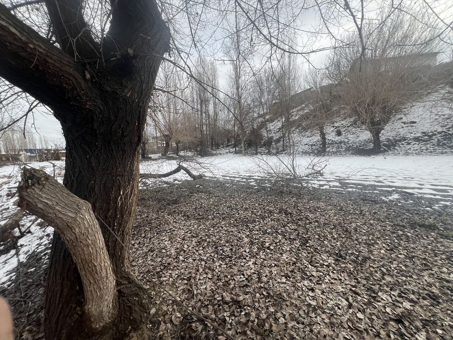 Yangiyol shax.2 sotix yer sotiladi dachniy qurishga yaxshi joy