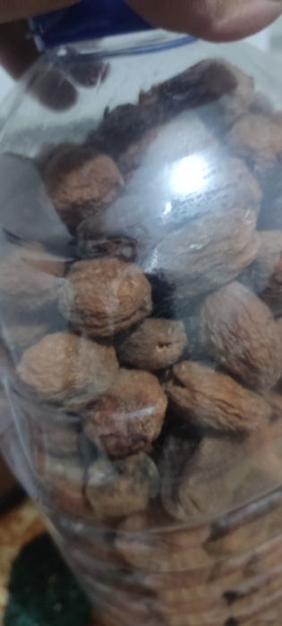 oʻrik turshak bargak