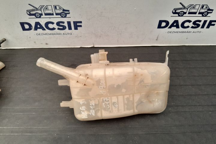 Vas expansiune 217100005R - 1.9 DCI 217100005R - 1.9 DCI Renault Mega