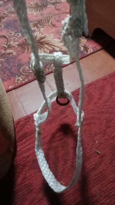 Нокта обротьку налошоть