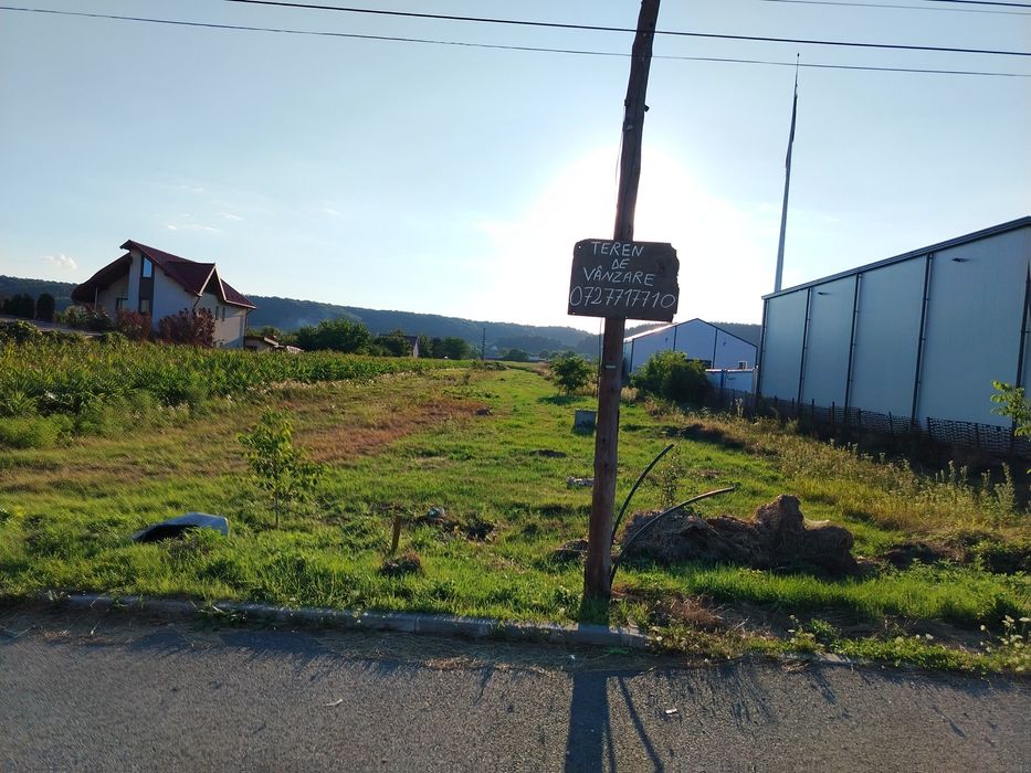 Teren Mărăcineni sens giratoriu