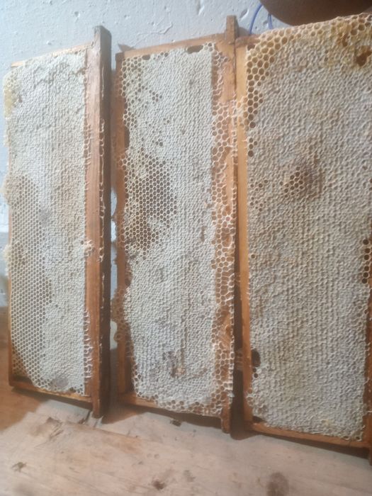 Продам мёд с разнотравья.Прополис.Воск.