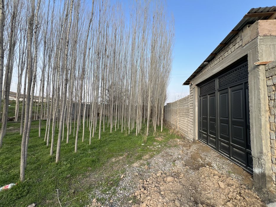 Qibray Mayskiyda yangi uy 5 sotix sotiladi