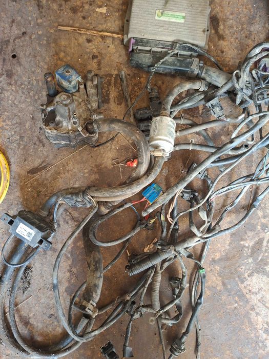 газова уредба easy green