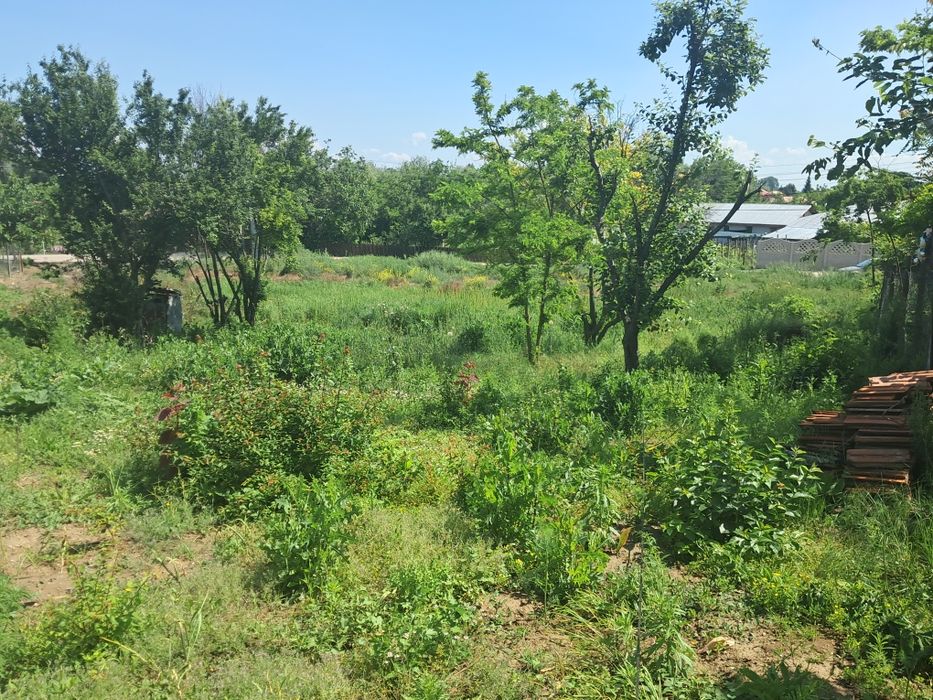 Casa  curte sitoat  la 30 k de bucuresti giurgiu