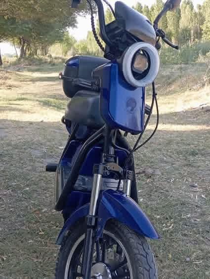 Drongo holati ajoyib