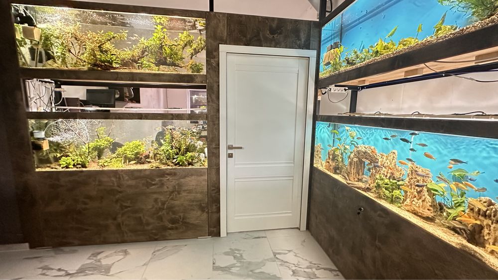 Аквариумы на заказ