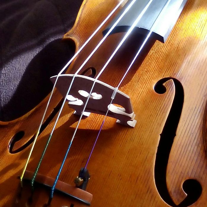 Професионални лютиерски услуги