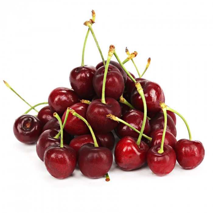 Мевали дарахтлар Кучат Нихол Дарахтча ШРЕДЕР