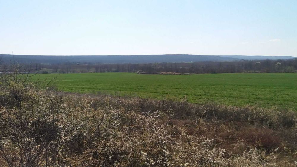 Продава се Земеделски имот в Варна, Възраждане 3 -  кв.м за 2040 €/дка - Снимка #3