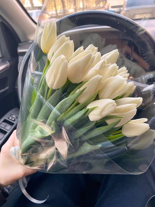 Тюльпаны оптом в Ташкенте