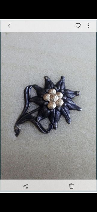 Горно- егерьский значёк.