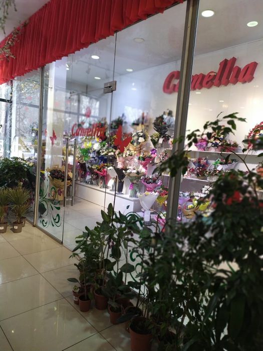 Двери стекла зеркала перегородки